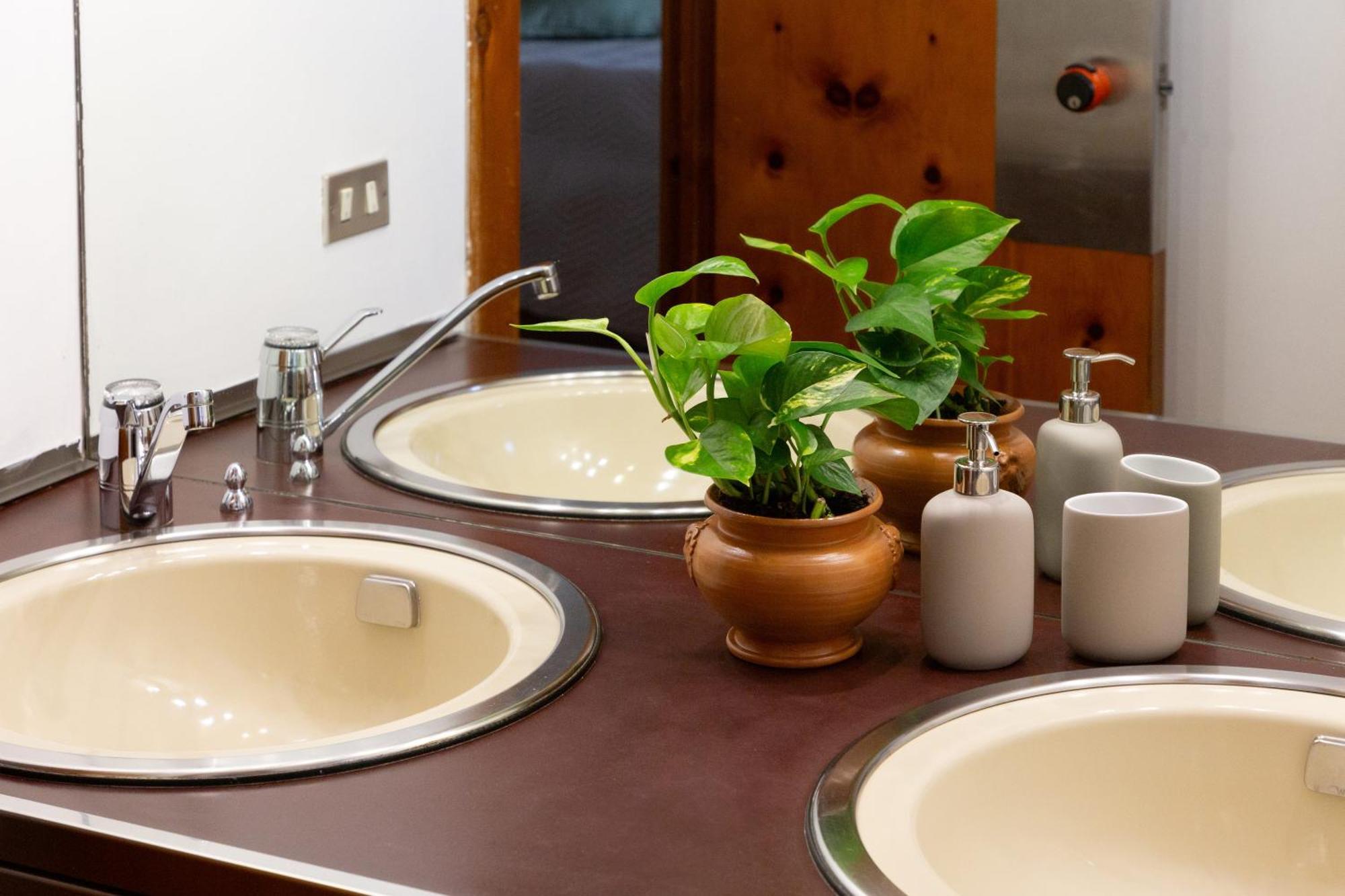 B&B Le Foglie D'Ulivo バーリ エクステリア 写真