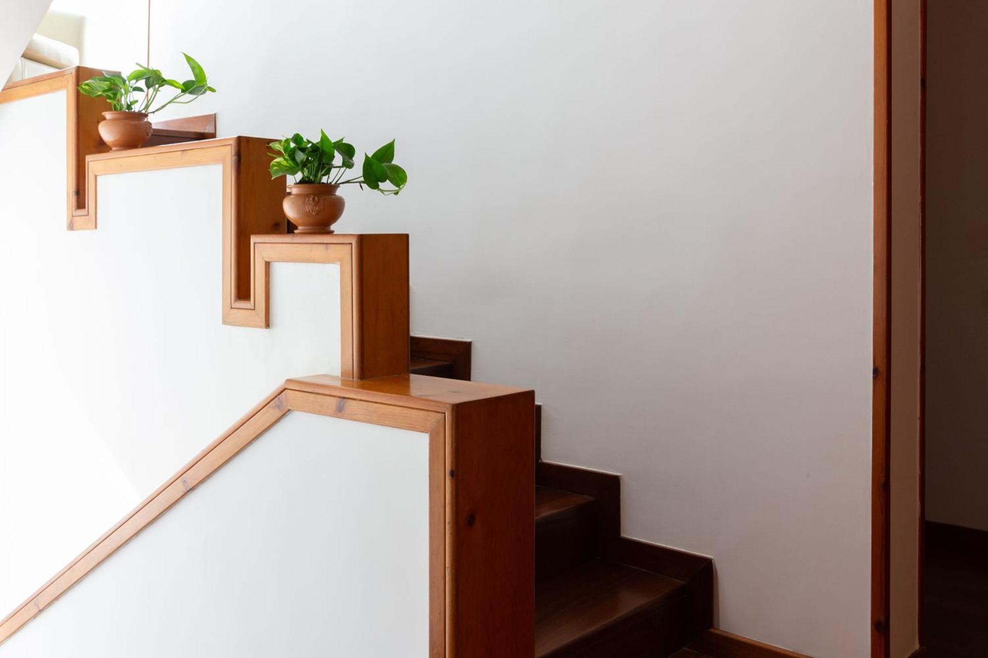 B&B Le Foglie D'Ulivo バーリ エクステリア 写真